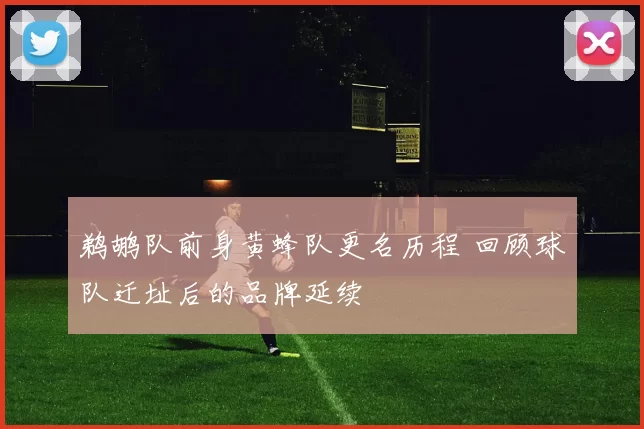 鹈鹕队前身黄蜂队更名历程 回顾球队迁址后的品牌延续