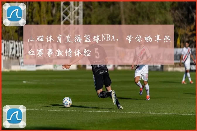 山猫体育直播篮球NBA,带你畅享热血赛事激情体验