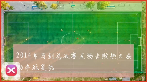 2014年马刺总决赛五场击败热火成功夺冠复仇
