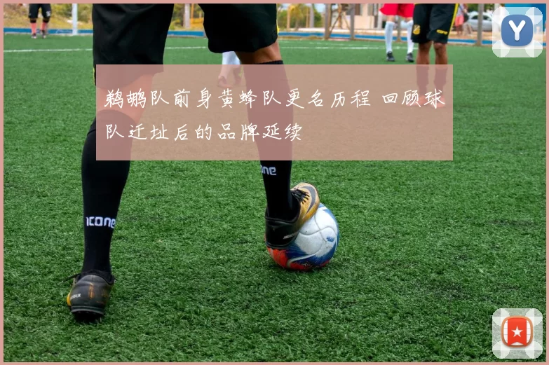 鹈鹕队前身黄蜂队更名历程 回顾球队迁址后的品牌延续
